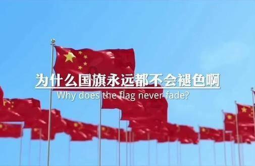 丛林森林逃生